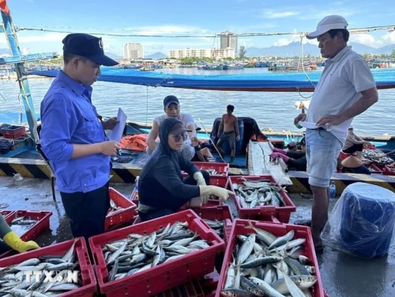 Viet Nam launches action plan for peak month against illegal fishing