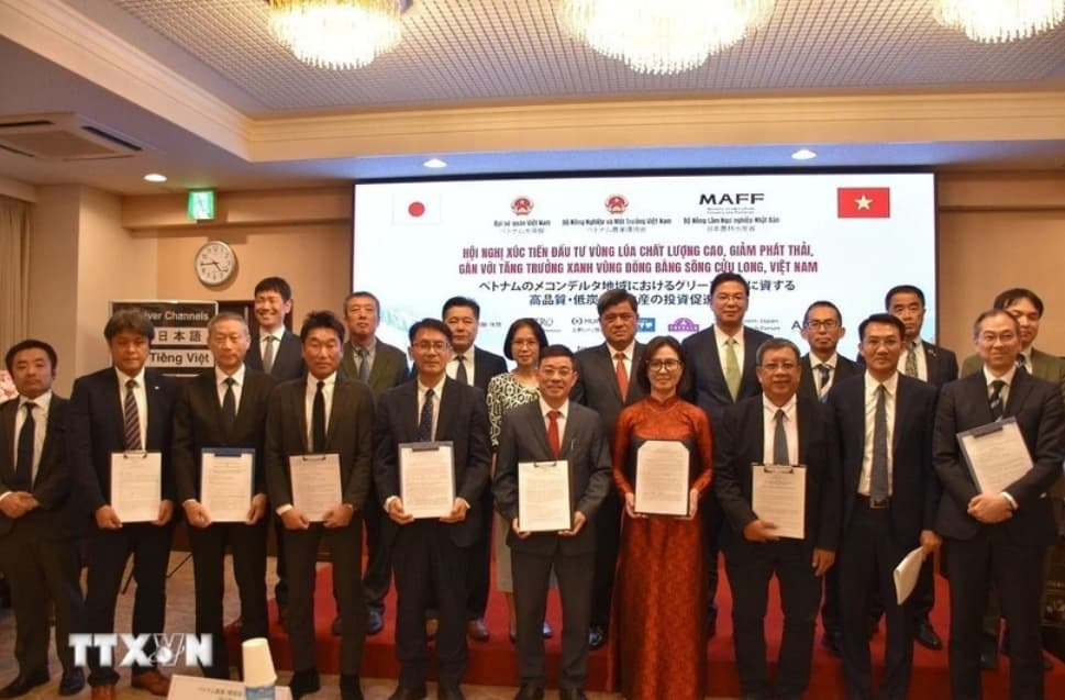 Viet Nam, Japan boost green agriculture investment in Mekong Delta