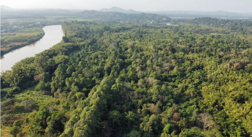 Vietnam to launch pilot carbon trading exchange by late 2026