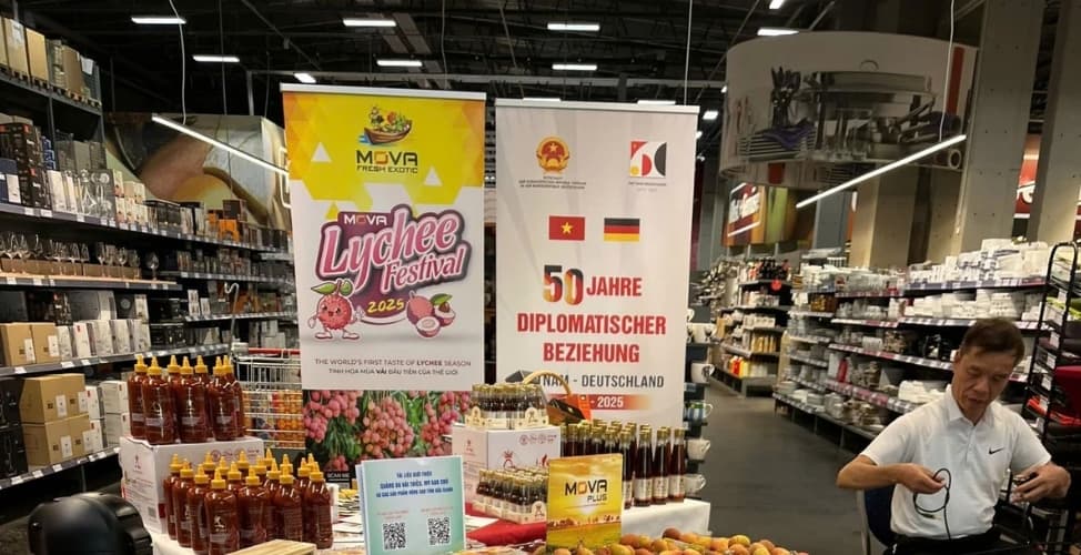 German state of Thuringia explores opportunities in Vietnamese agricultural sector