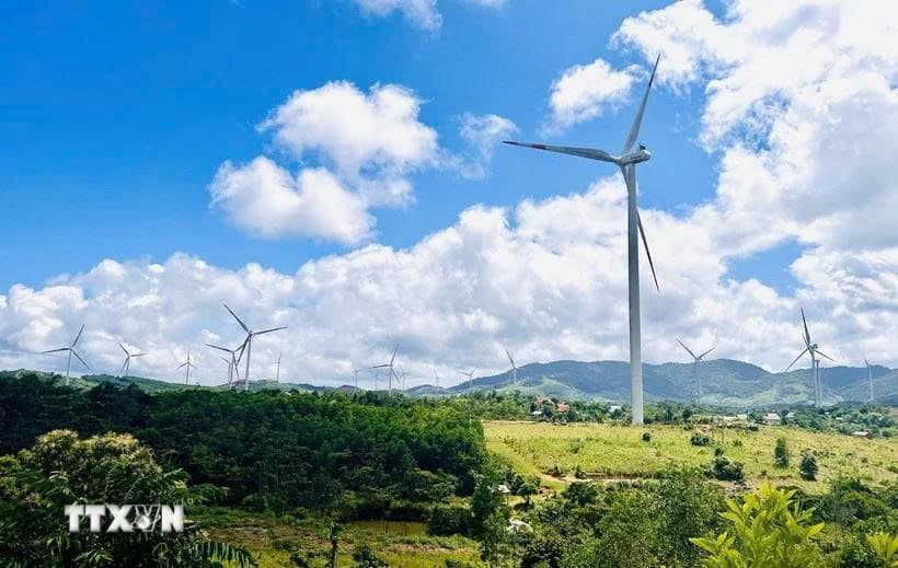 State steering committee for key energy programmes, projects set up