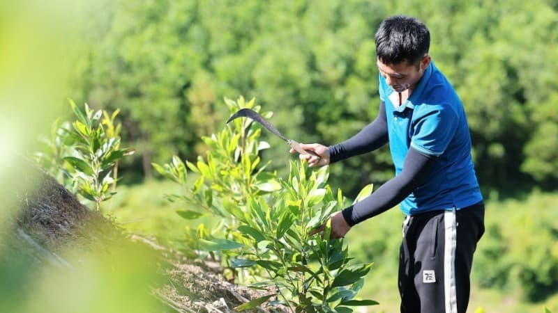 Creation of a green competitive edge for Vietnamese agricultural produce