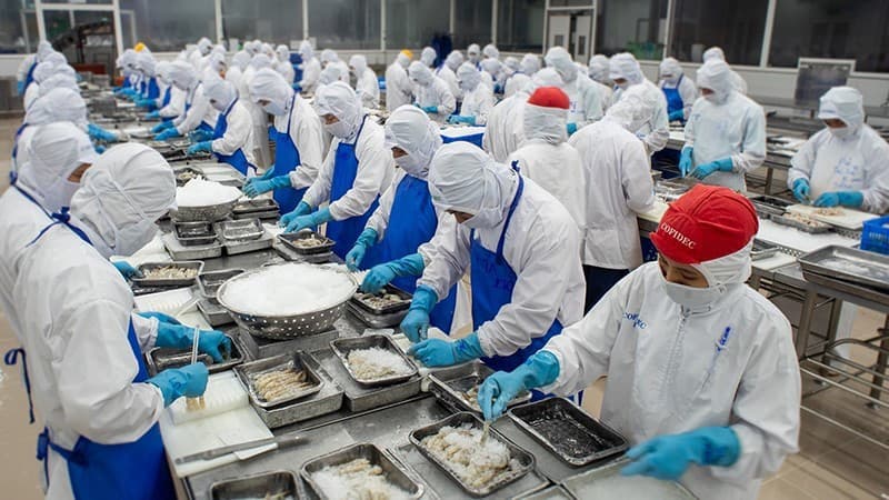 Proactive and innovative measures needed to maintain seafood export growth momentum
