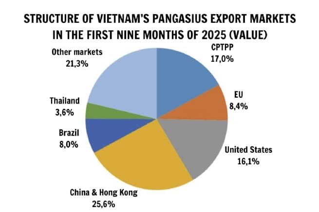 Pangasius Exports in the First Nine Months: Clear Market Shift, CPTPP and Brazil Surge Ahead