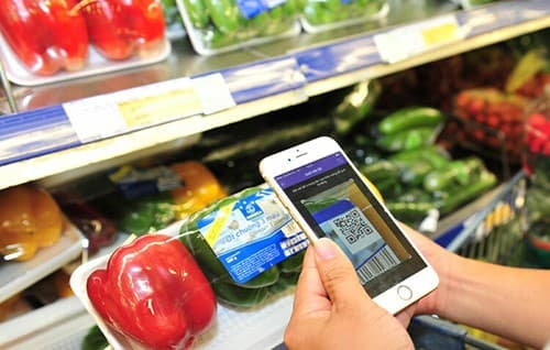 Comments on the Draft Decree Detailing the Implementation of a Number of Articles of the Law on Quality of Products and Goods