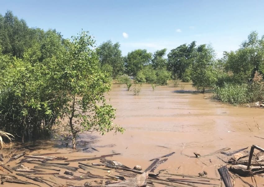 Experts propose strategies to improve Mekong Delta water management