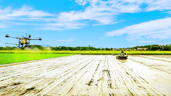 Agriculture and environment in the national green transition and sustainable development