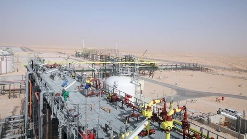 Algeria — A key trade and investment partner of Viet Nam in North Africa