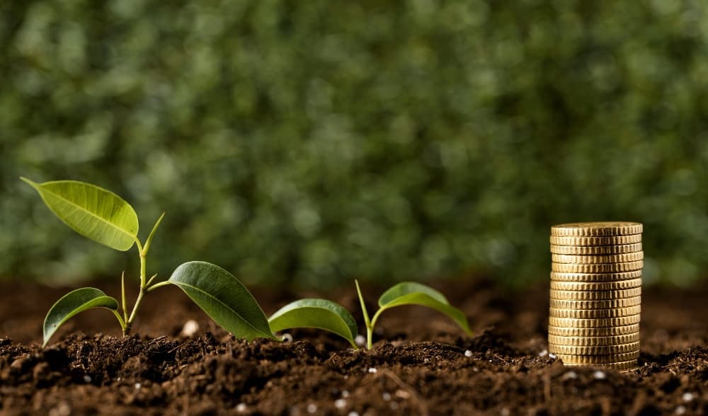 Green finance framework vital for reshaping industrial future