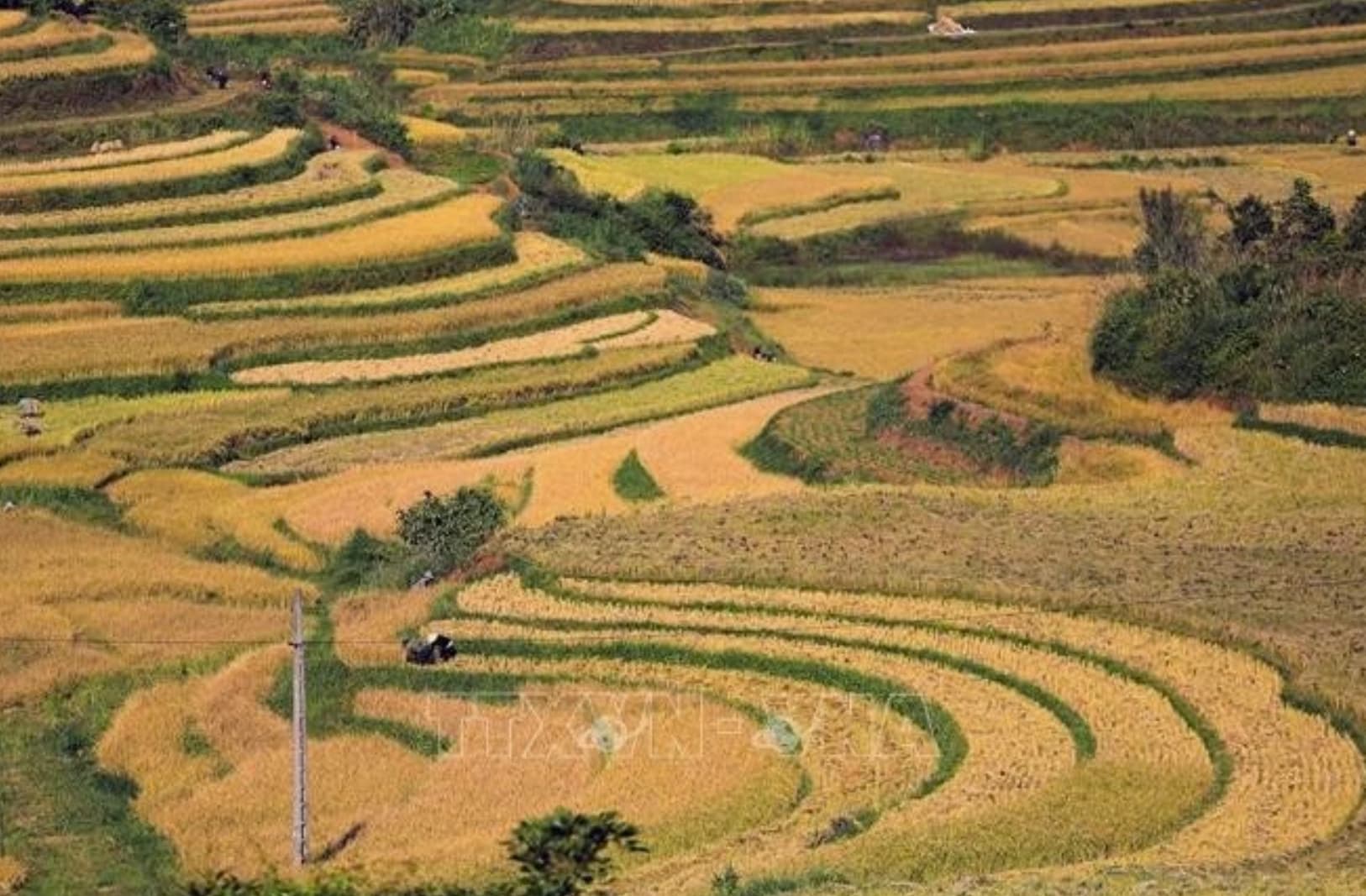 Viet Nam's tourism sector accelerates in year-end 'golden season'