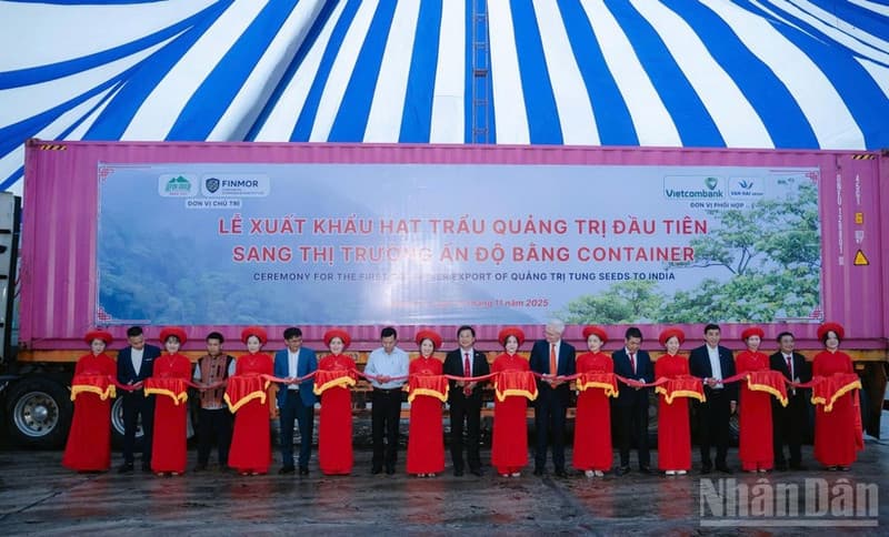 Quang Tri exports first shipment of tung seeds to India