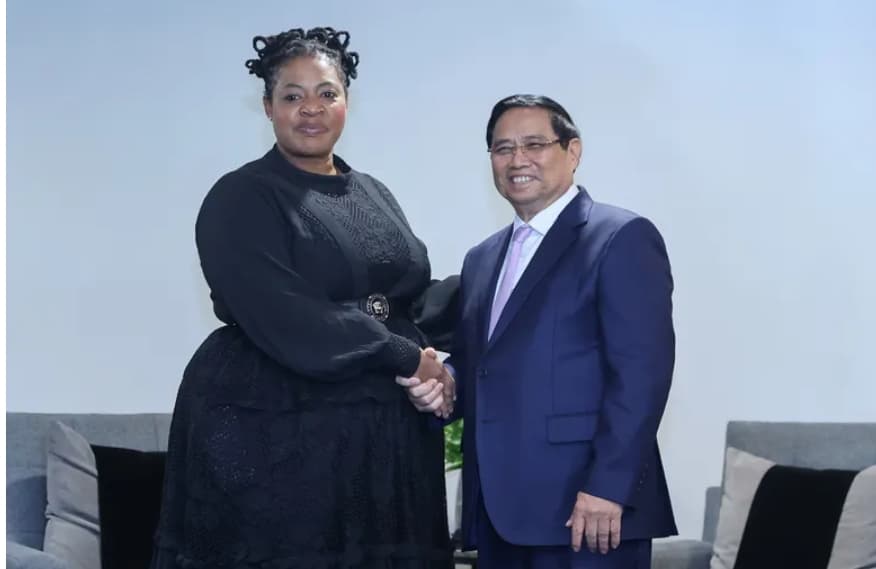 Vietnam, South Africa to deepen oil and renewable ties