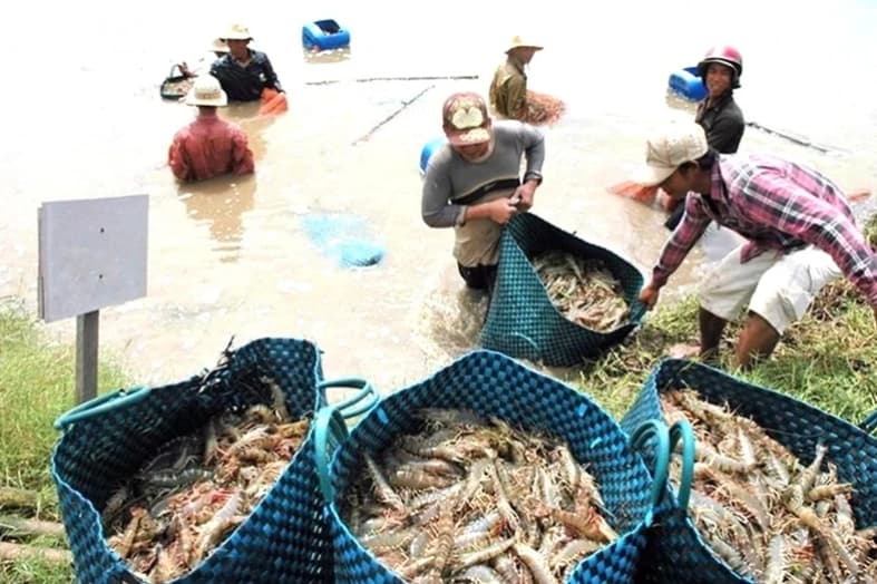 Vietnamese export stocks under the radar despite strong earnings