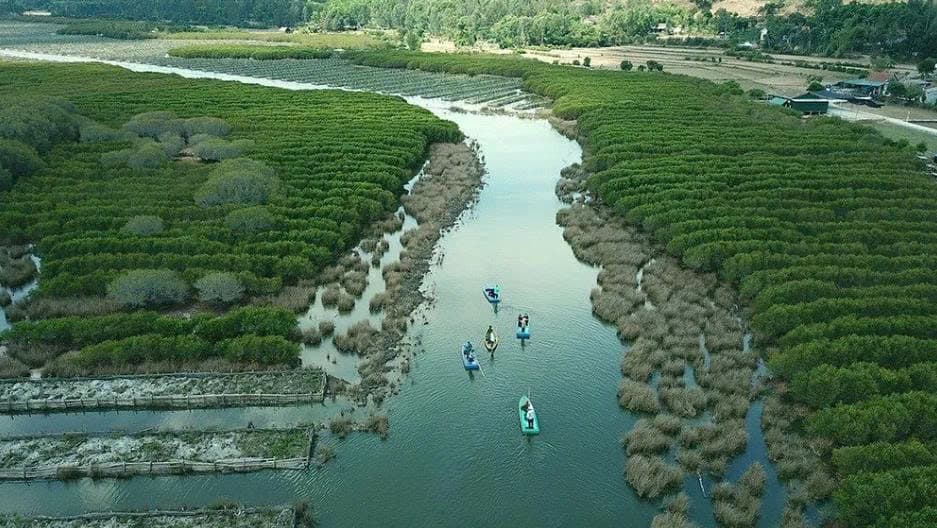 Vietnam says no to cheap carbon credits