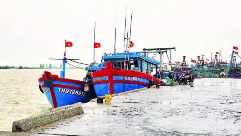 Stepping up efforts to lift IUU “yellow card”: Accelerated, coordinated and resolute actions from central to local levels