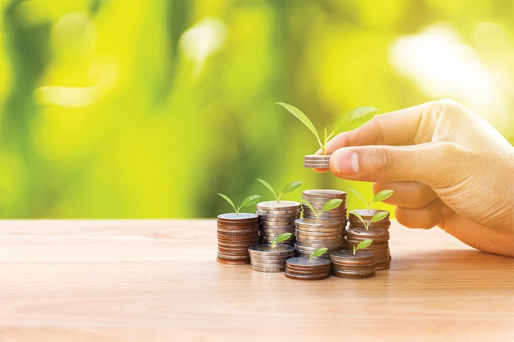 Sustainability gains ground with collabs