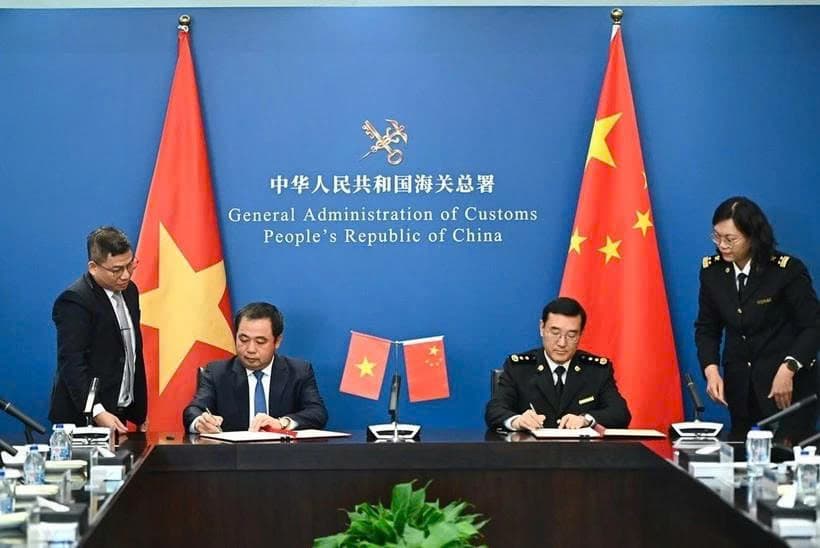 Viet Nam, China sign protocol on fresh jackfruit exports