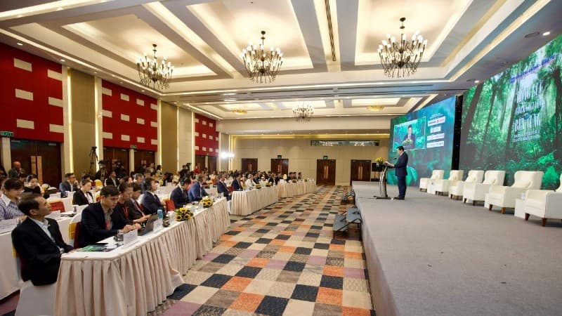 Digital transformation and green transition move in parallel sustainable development