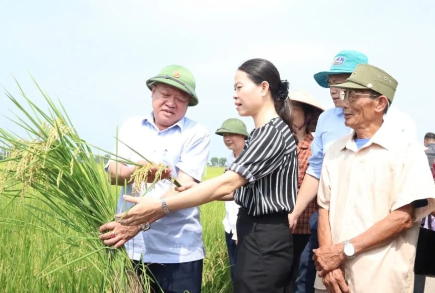 Hanoi adopts new resolution to accelerate modern, high-tech agricultural transformation