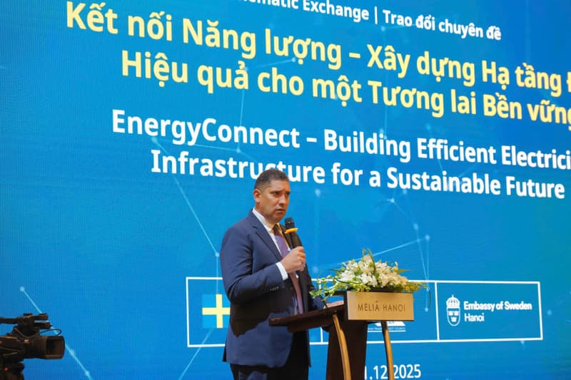 Sweden, Viet Nam promote cooperation in building modern, sustainable power grid