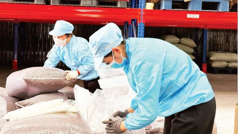 Creating sustainable, added value for agricultural produce