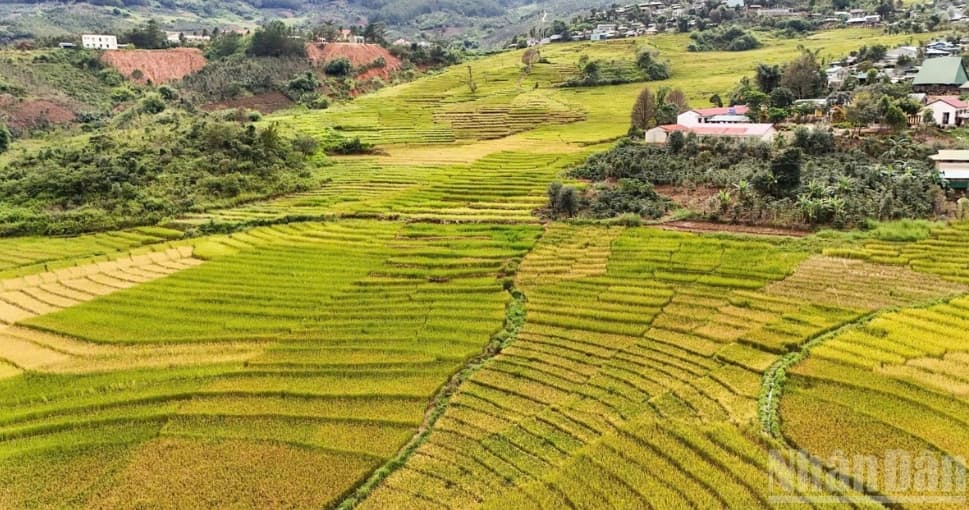 Quang Ngai integrates ecotourism with marine and island tourism