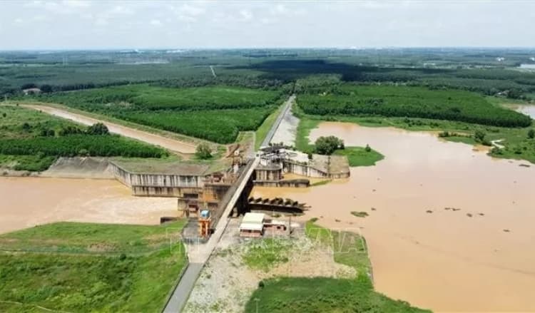 Dong Nai's massive 2,000-hectare Phuoc Hoa reservoir poised to become eco-tourism hub