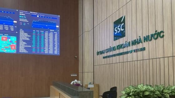 Vietnam drafts rules to upgrade professional standards for securities practitioners