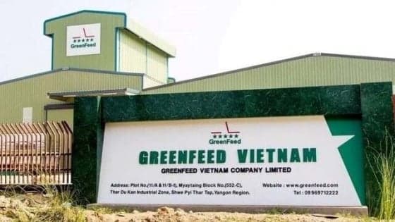 Vietnam's livestock major GreenFeed reaps $65 mln in H1 profit, outpacing major rivals