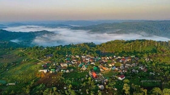 Central Vietnam province opens door to carbon credit developers in push for green growth