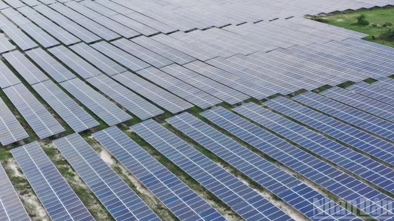 New policies needed to pave the way for renewable energy