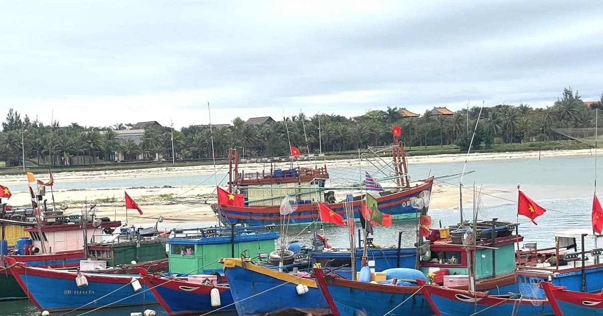 Lifting IUU yellow card remains government's top priority: Vietnam PM