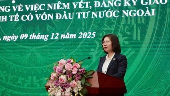 Only 10 FDI companies listed in Vietnam, an 'extremely small figure': market watchdog