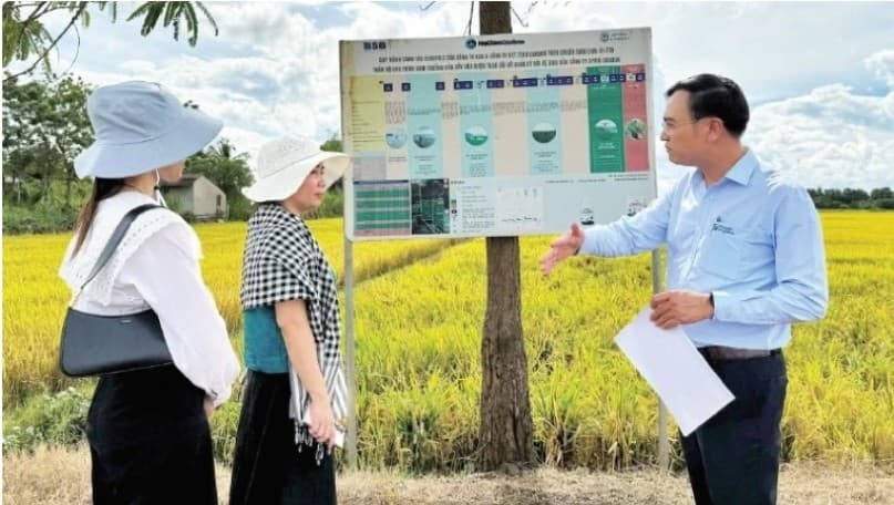 New prospects for low-emission rice