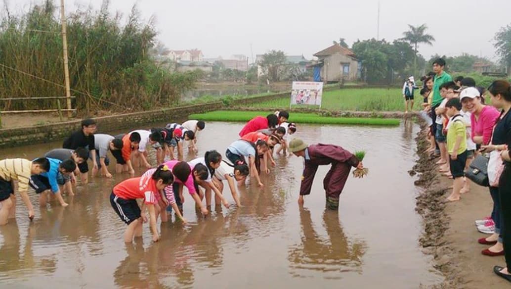 Hong Van Commune rises as Hanoi’s emerging model for community