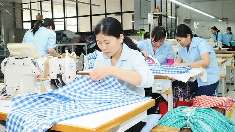 Textile and garment sector maintains export momentum