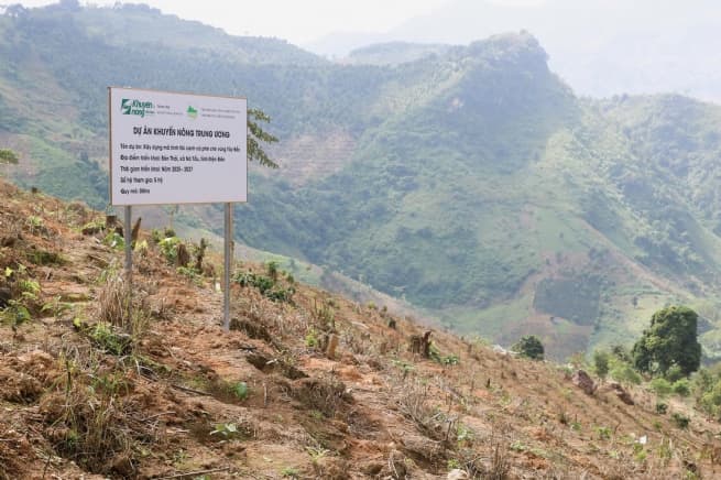 Coffee As Growth Driver for Na Tau After the Merger