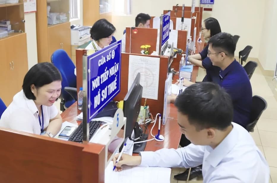 Vietnam budget revenue reaches record high