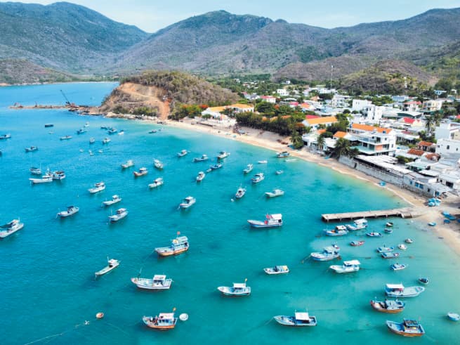 Tourism Growth Driven by Digital Platforms