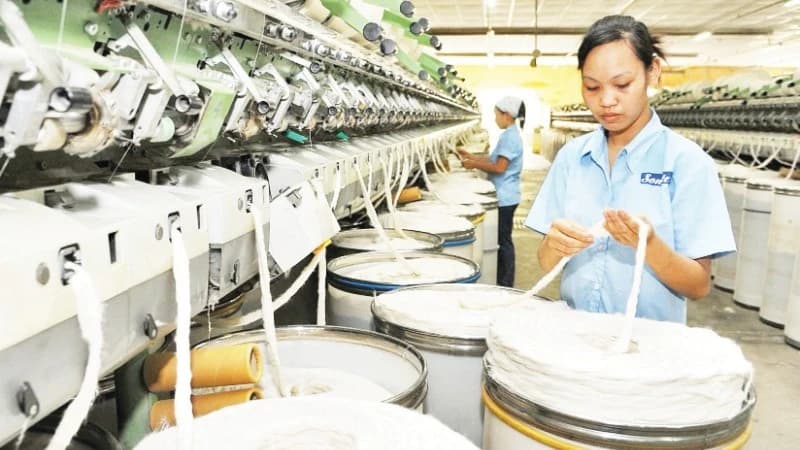 Tax and customs policies create more favourable conditions for businesses