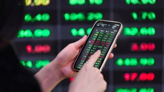 Vietnam stocks cap a stellar year as VN