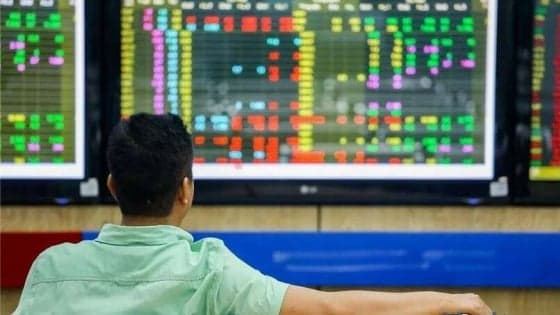 2026 highly likely to mark a turning point for foreign indirect investment inflows to Vietnam: Dragon Capital exec