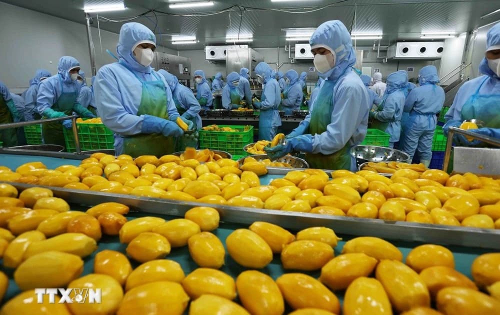 Fruit, vegetable exports post successive breakthroughs