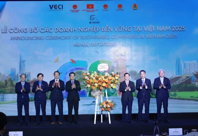 Honoring 100 Sustainable Companies: CSI Journey to Strengthen Business Capacity