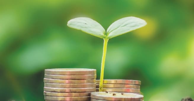 Green Credit: Financial Leverage for Sustainable Growth