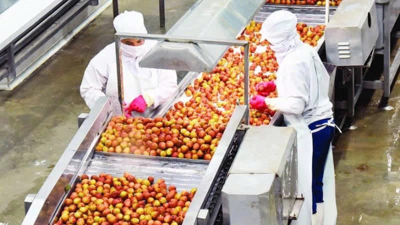 Enhancing transparency in agricultural supply chains through traceability