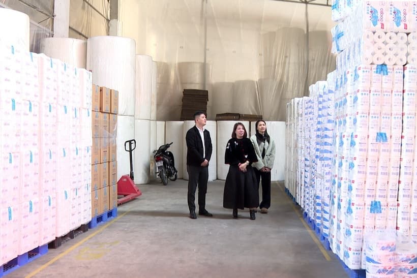 Strategic orientations: Sustainable space for private firms