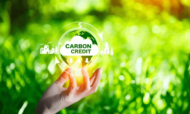 Viet Nam pilots domestic carbon trading exchange