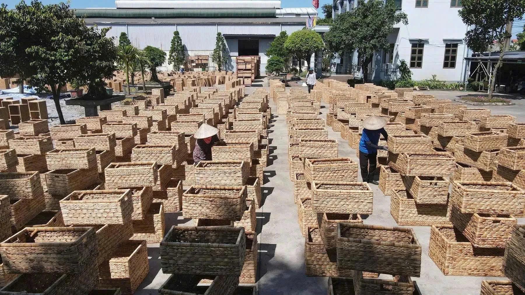 OCOP program strengthens rural brands and pushes Vietnamese products deeper into markets