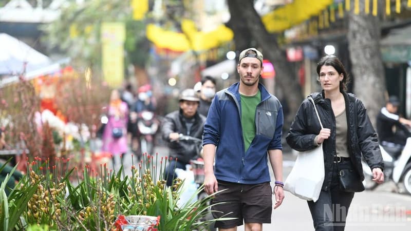 Viet Nam: A bright spot in Southeast Asian tourism